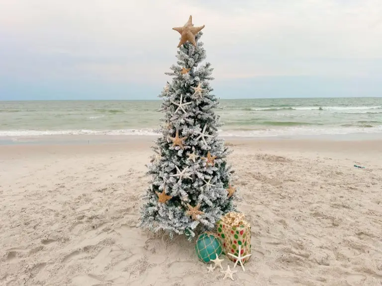 Flocked Christmas tree with starfish ornaments and wrapped gifts on the sand, a beach Christmas family photo idea